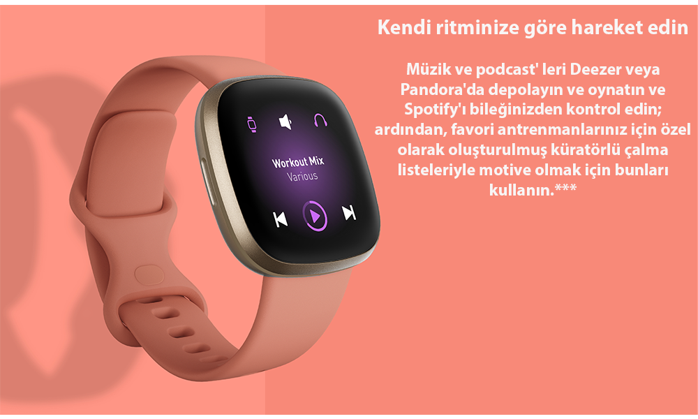 Fitbit versa 3 